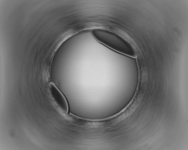 X0000111421377200907131011