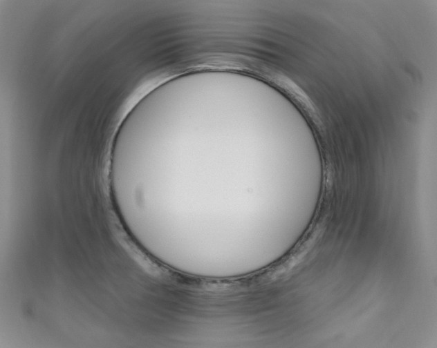X0000111421378200907131011