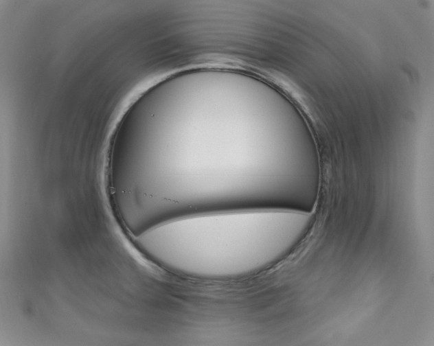 X0000111421379200907131011