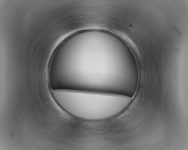 X0000111421380200907131011