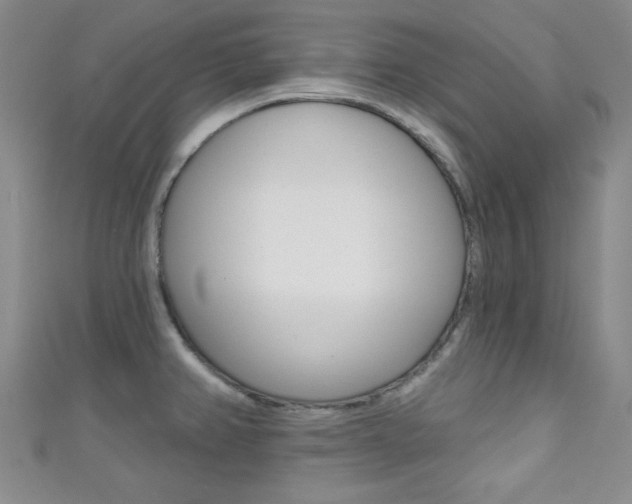 X0000111421382200907131011