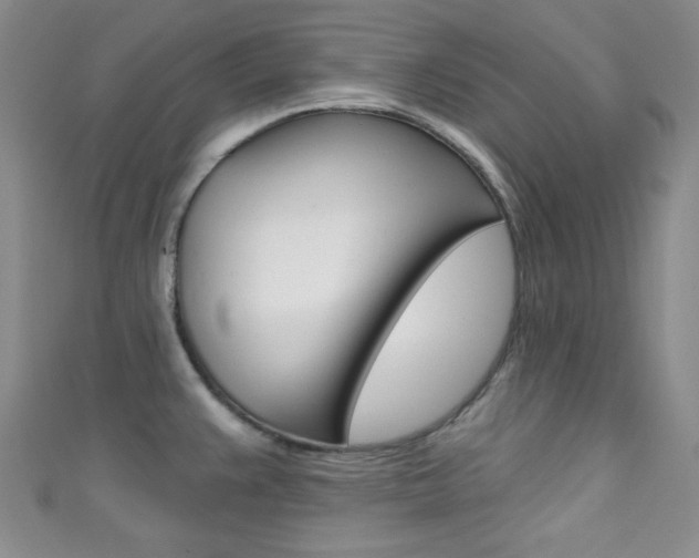 X0000111421383200907131011