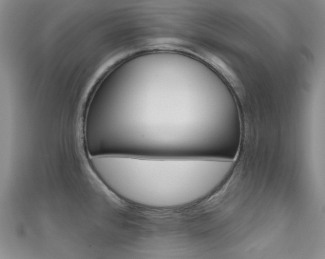 X0000111421384200907131011
