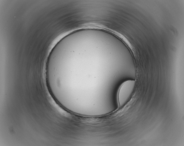 X0000111421387200907131011