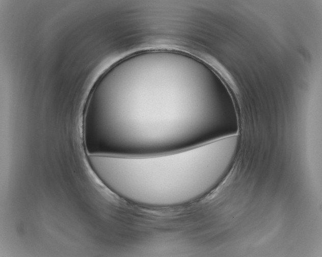 X0000111421388200907131011
