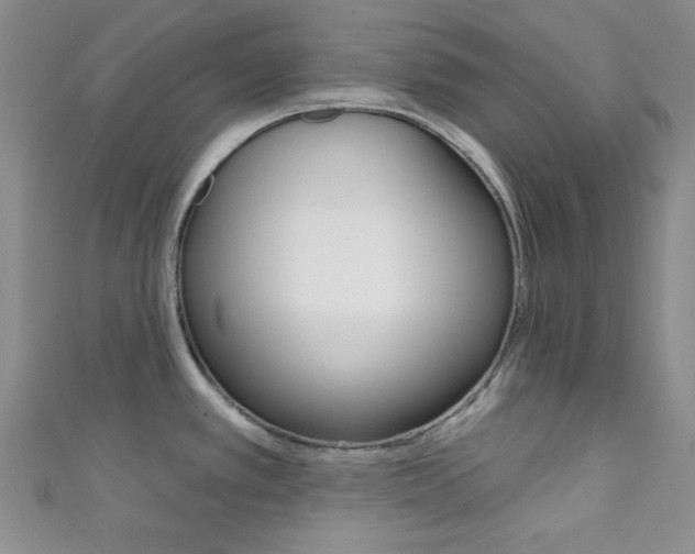 X0000111421389200907131011