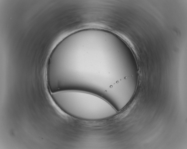 X0000111421391200907131011