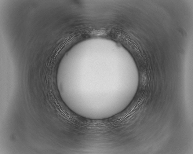 X0000111421393200907131010