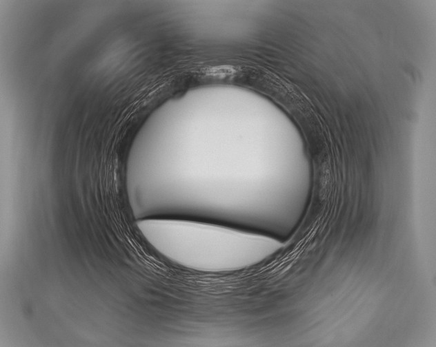 X0000111421394200907131010