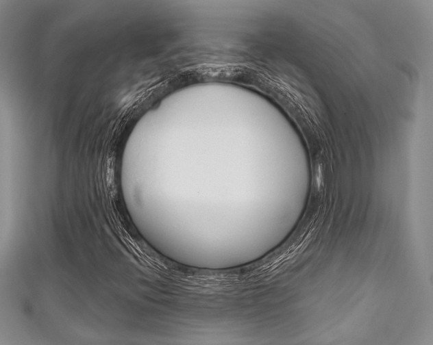 X0000111421396200907131010