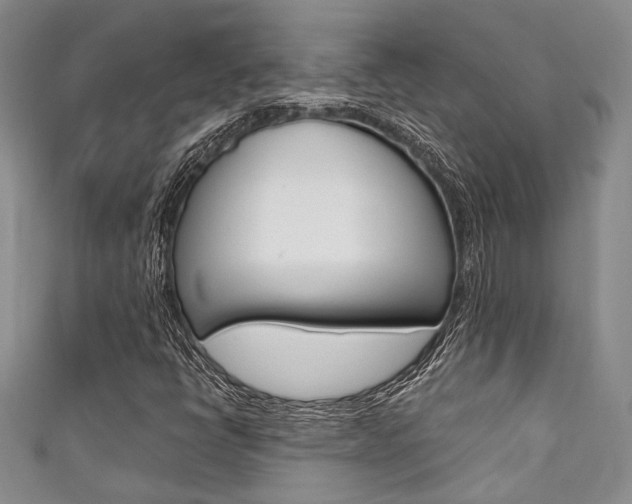 X0000111421398200907131010