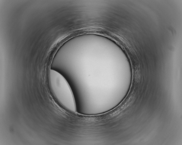 X0000111421402200907131010