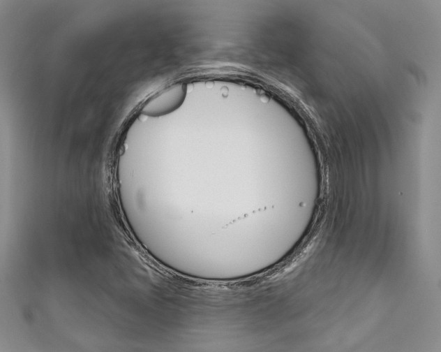 X0000111421405200907131010
