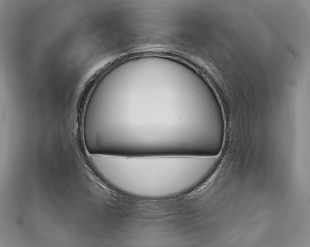 X0000111421406200907131010