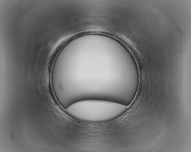 X0000111421408200907131010