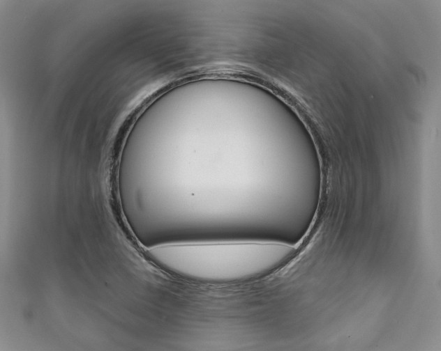 X0000111421410200907131010