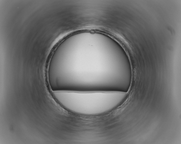 X0000111421412200907131010