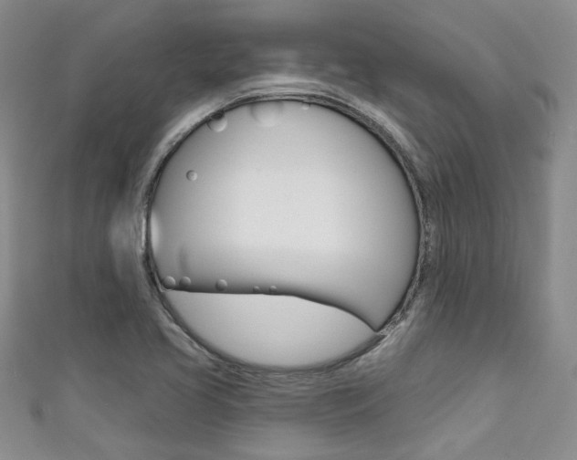 X0000111421413200907131010