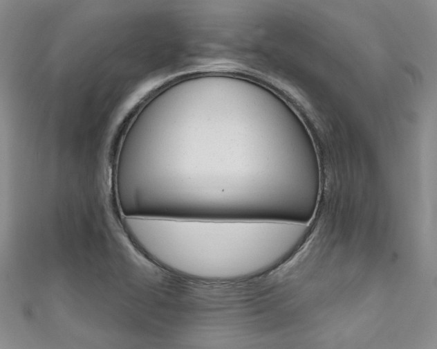 X0000111421414200907131010