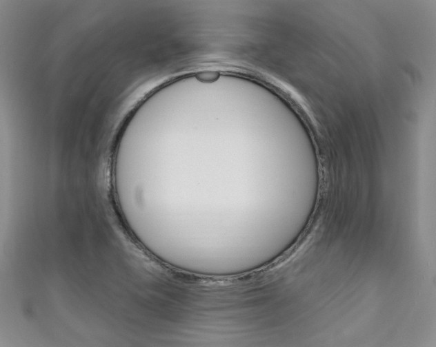 X0000111421415200907131010