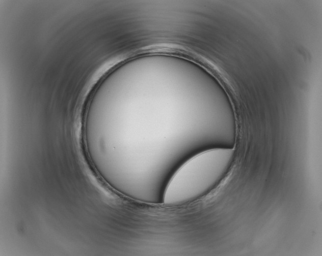 X0000111421418200907131010