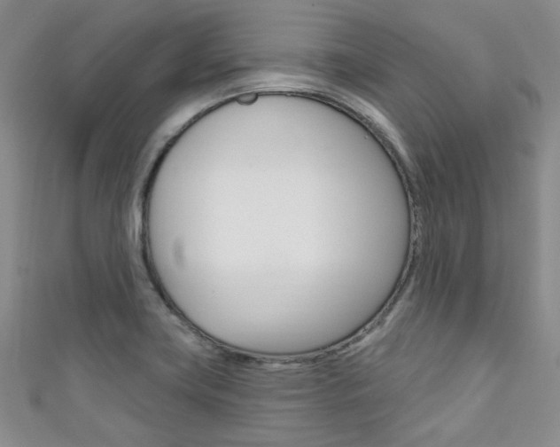 X0000111421419200907131010