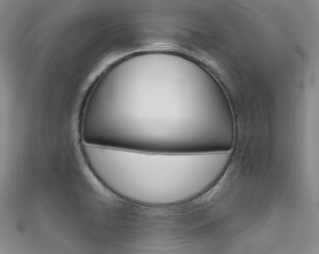 X0000111421422200907131010