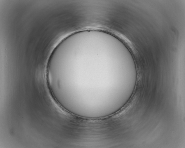 X0000111421423200907131010