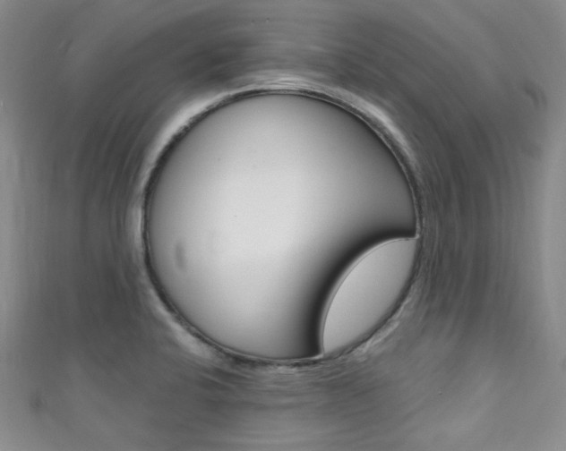 X0000111421424200907131010