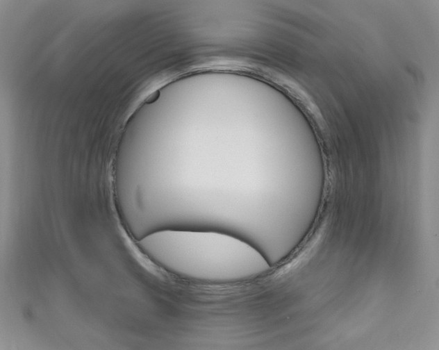 X0000111421425200907131010