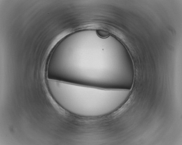 X0000111421426200907131010