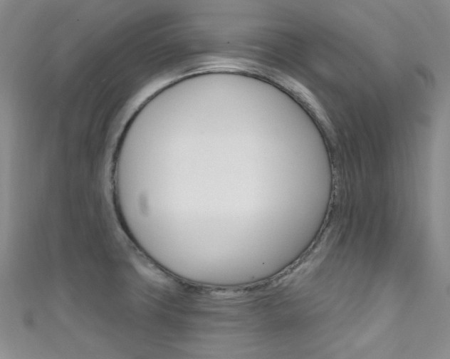 X0000111421427200907131010