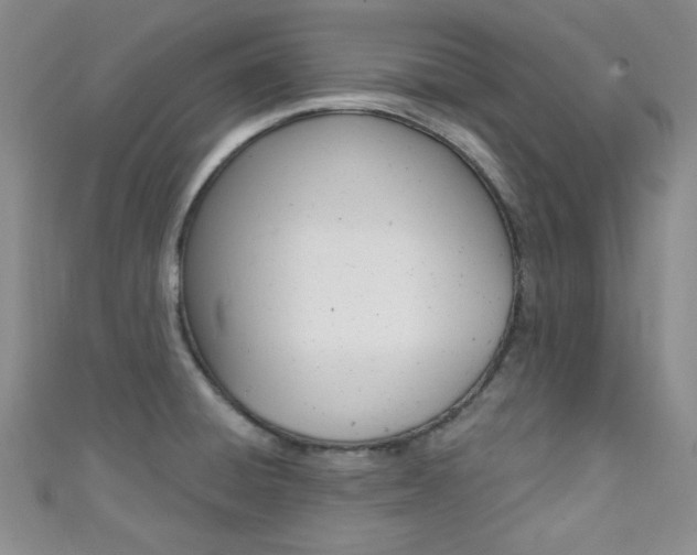 X0000111421428200907131010