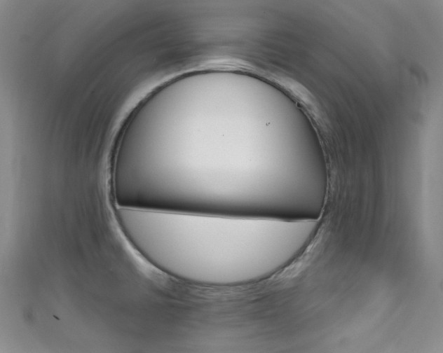 X0000111421430200907131010