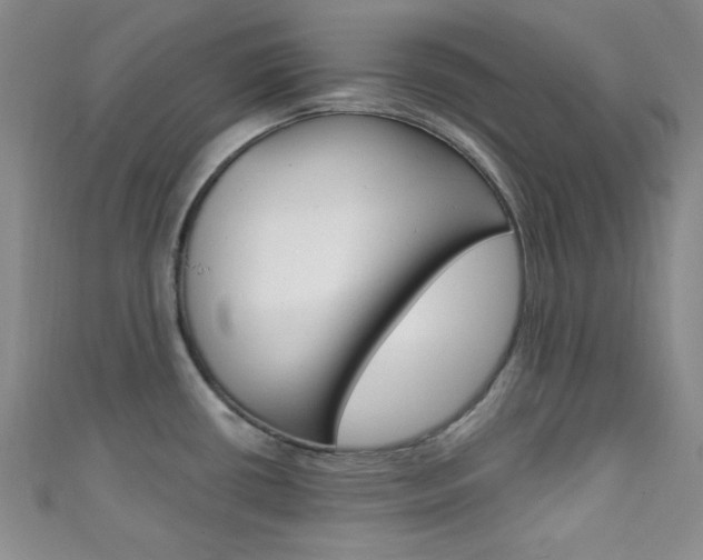 X0000111421434200907131010