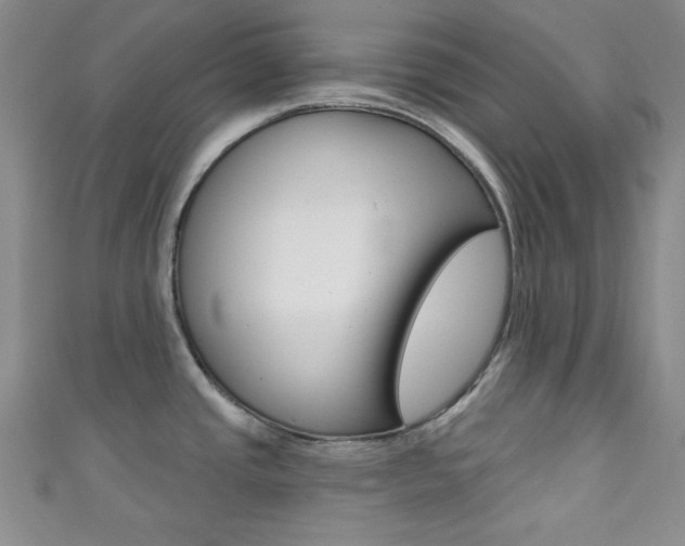X0000111421437200907131010