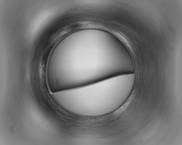 X0000111421438200907131010