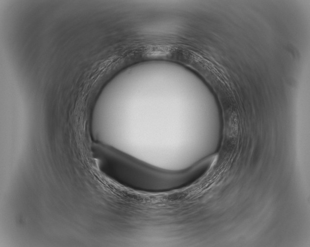 X0000111421441200907131010