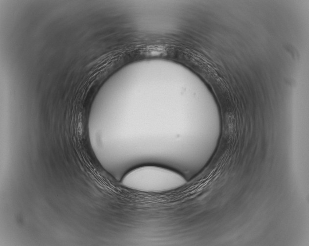 X0000111421442200907131010