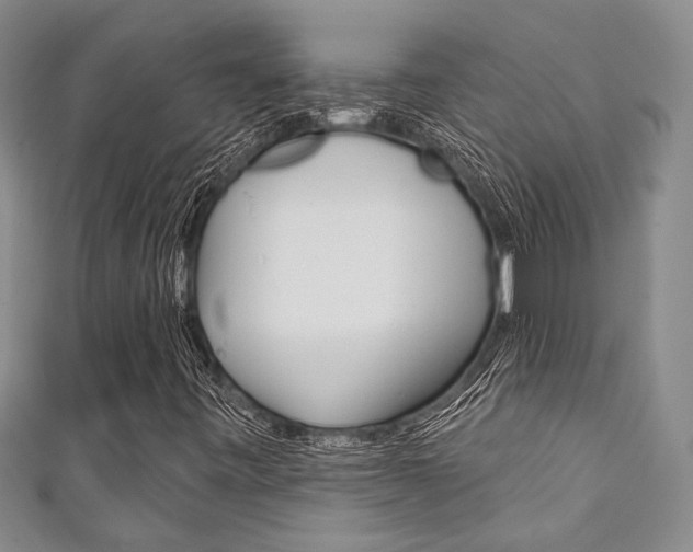X0000111421443200907131010