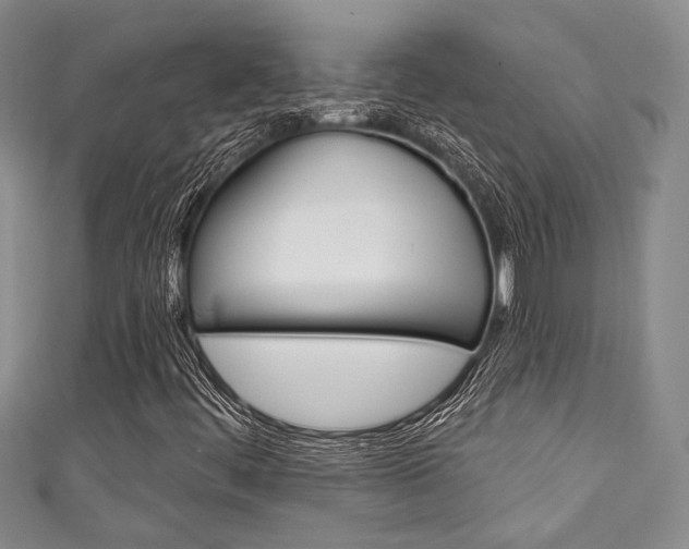 X0000111421444200907131010