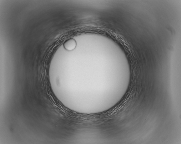 X0000111421445200907131010