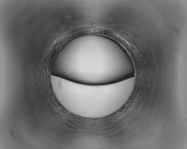 X0000111421447200907131010