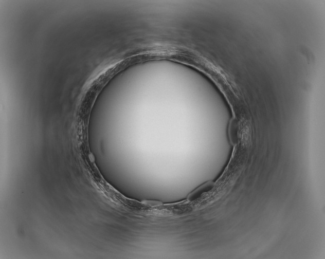 X0000111421448200907131010