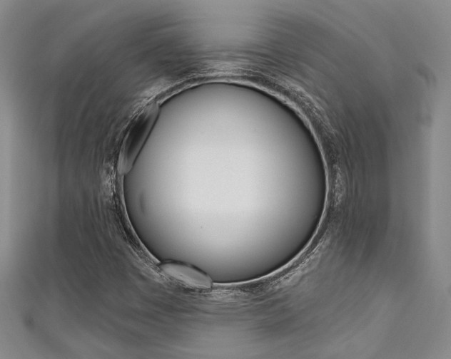 X0000111421449200907131010