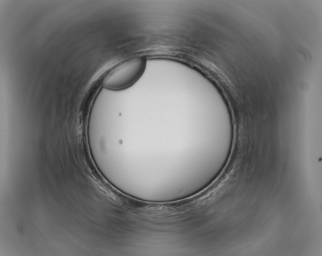 X0000111421450200907131010