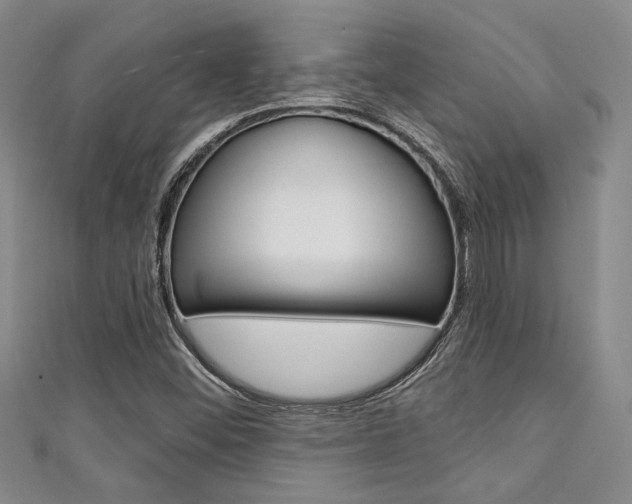 X0000111421452200907131010