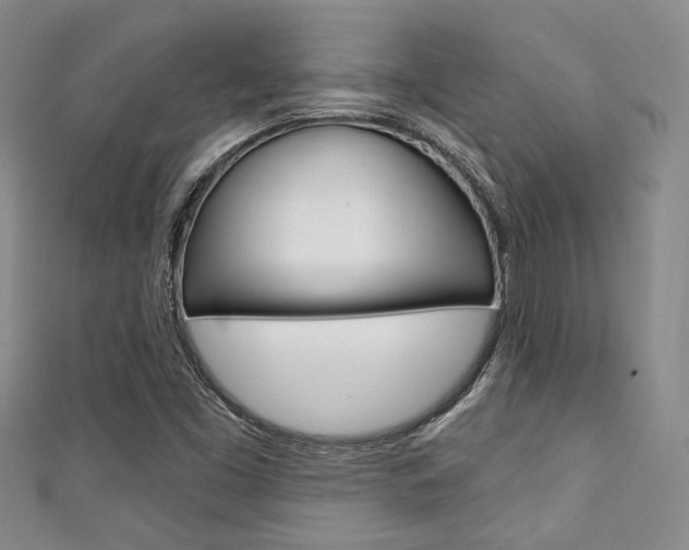 X0000111421453200907131010
