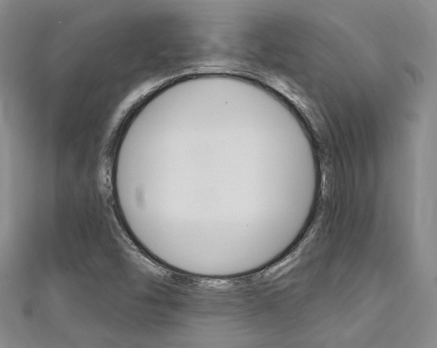 X0000111421454200907131010
