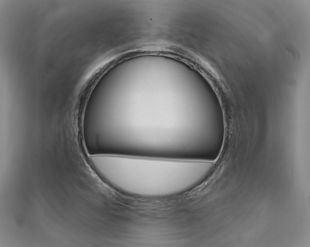 X0000111421456200907131010